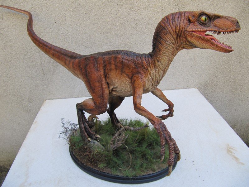 Vélociraptor Jurassic Park.