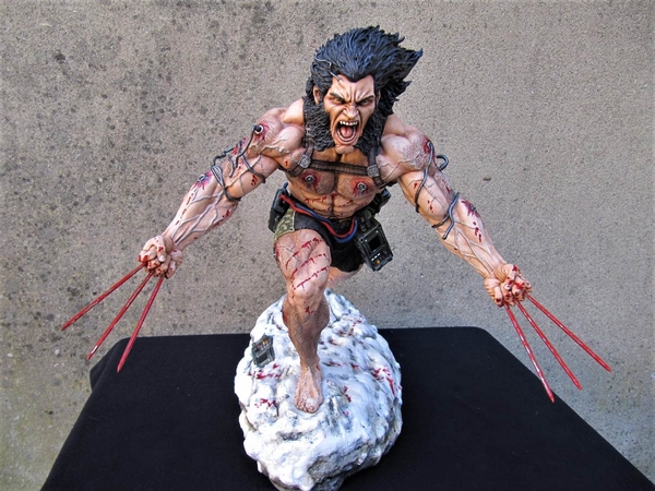 Wolverine Weapon X